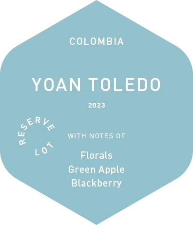 Yoan Toledo - Wet Process - 2023