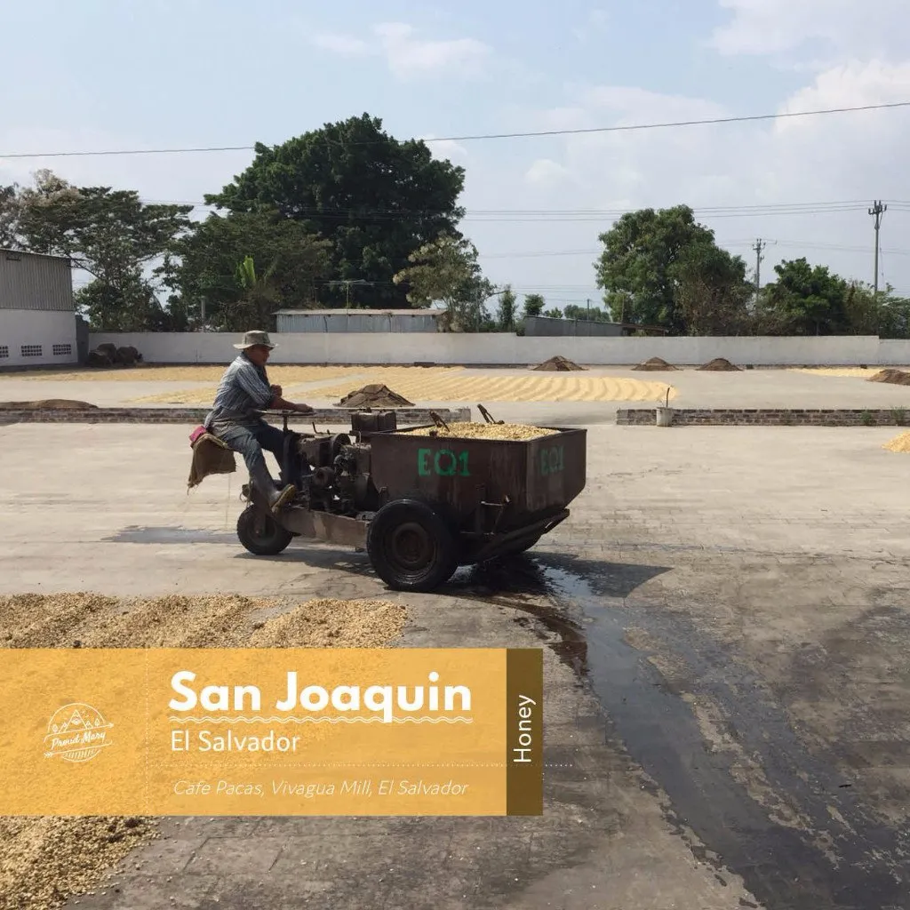 El Salvador | San Joaquin | Red Bourbon | Honey