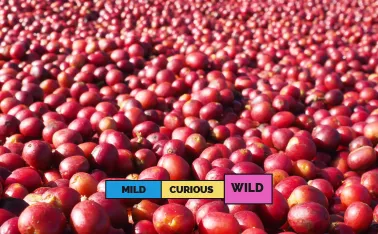 ETHIOPIA | Banko Gotiti | Heirloom | Natural
