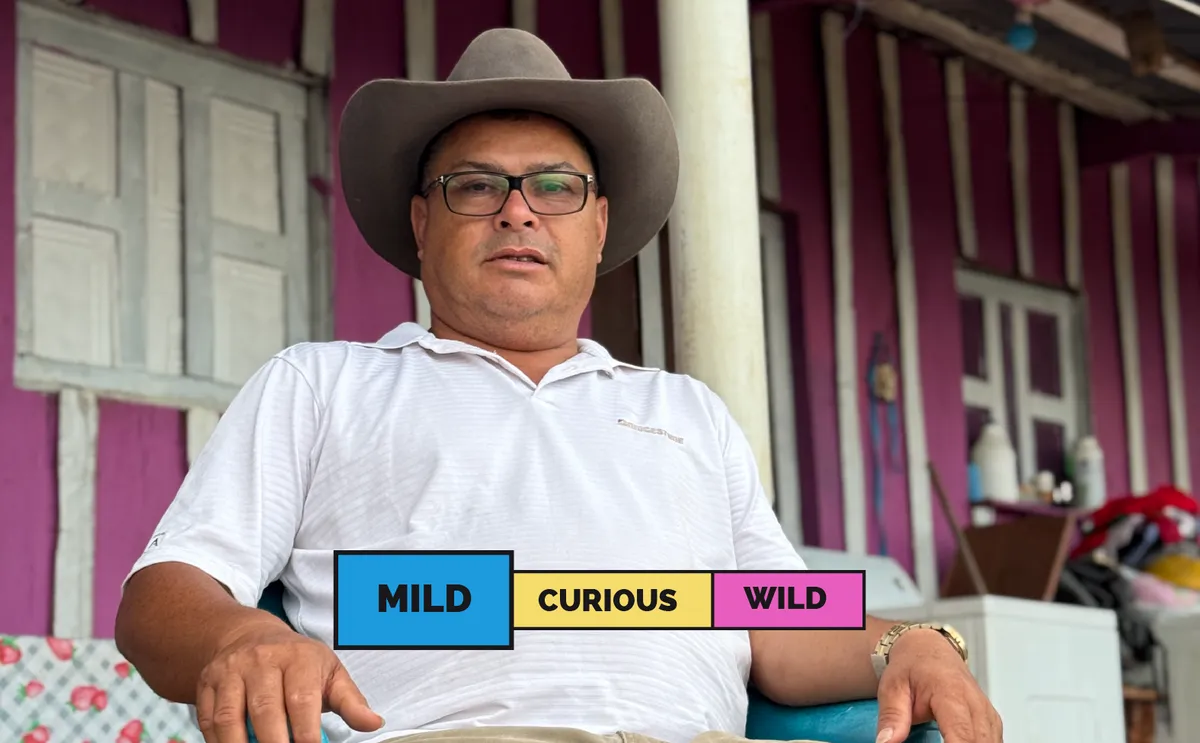 HONDURAS | Ovidio Gomez - Los Gomitos | Catuai | Honey
