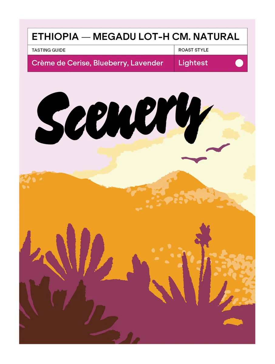 Ethiopia - Megadu "Cherry Ascension" Lot-H Carbonic Macerated Natural
