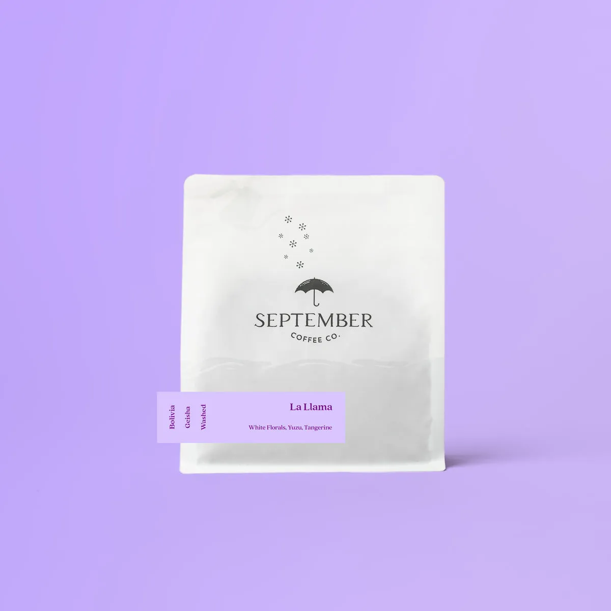 Finca La Llama - Bolivia Geisha (Extra-Light)