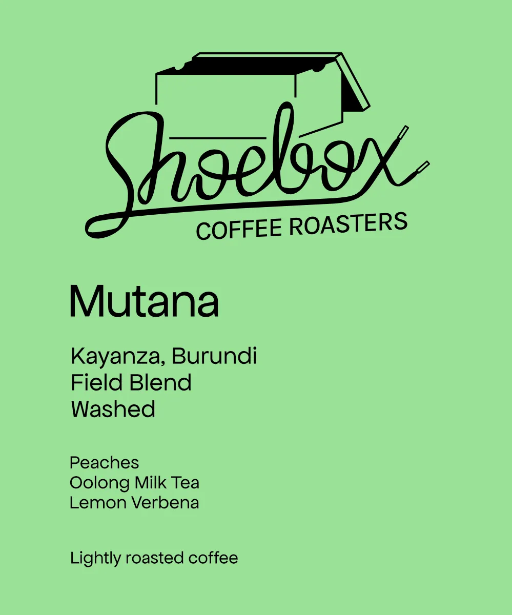Burundi Mutana Hill Washed