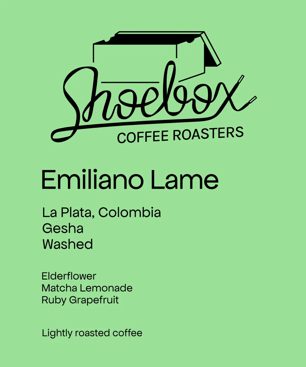 Colombia Emiliano Lame Gesha Washed, Copa De Oro #2