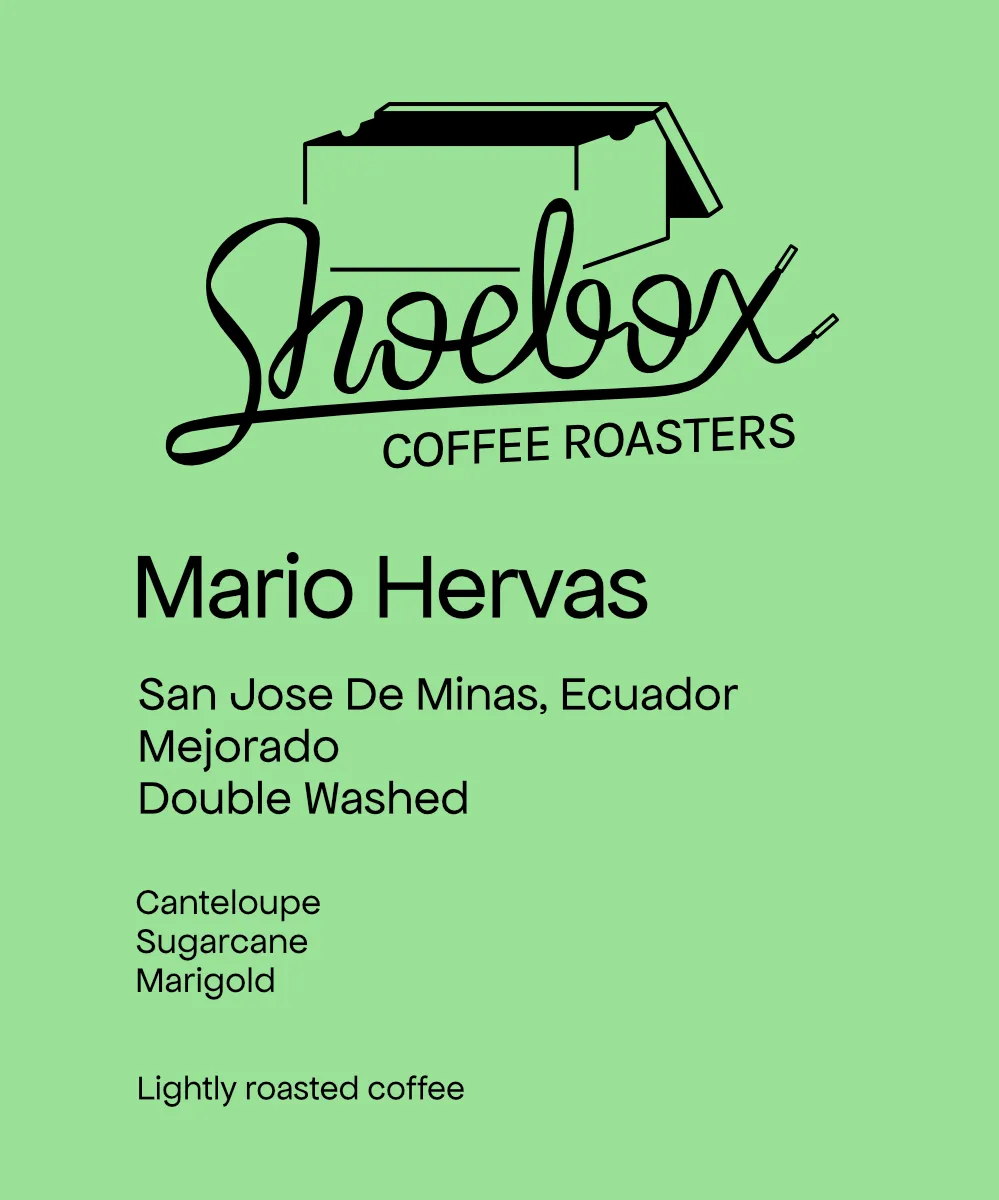 Ecuador Mario Hervas Mejorado Washed
