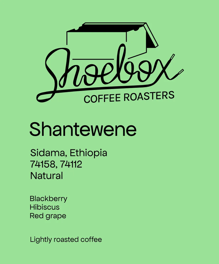 Ethiopia Shantewene Natural