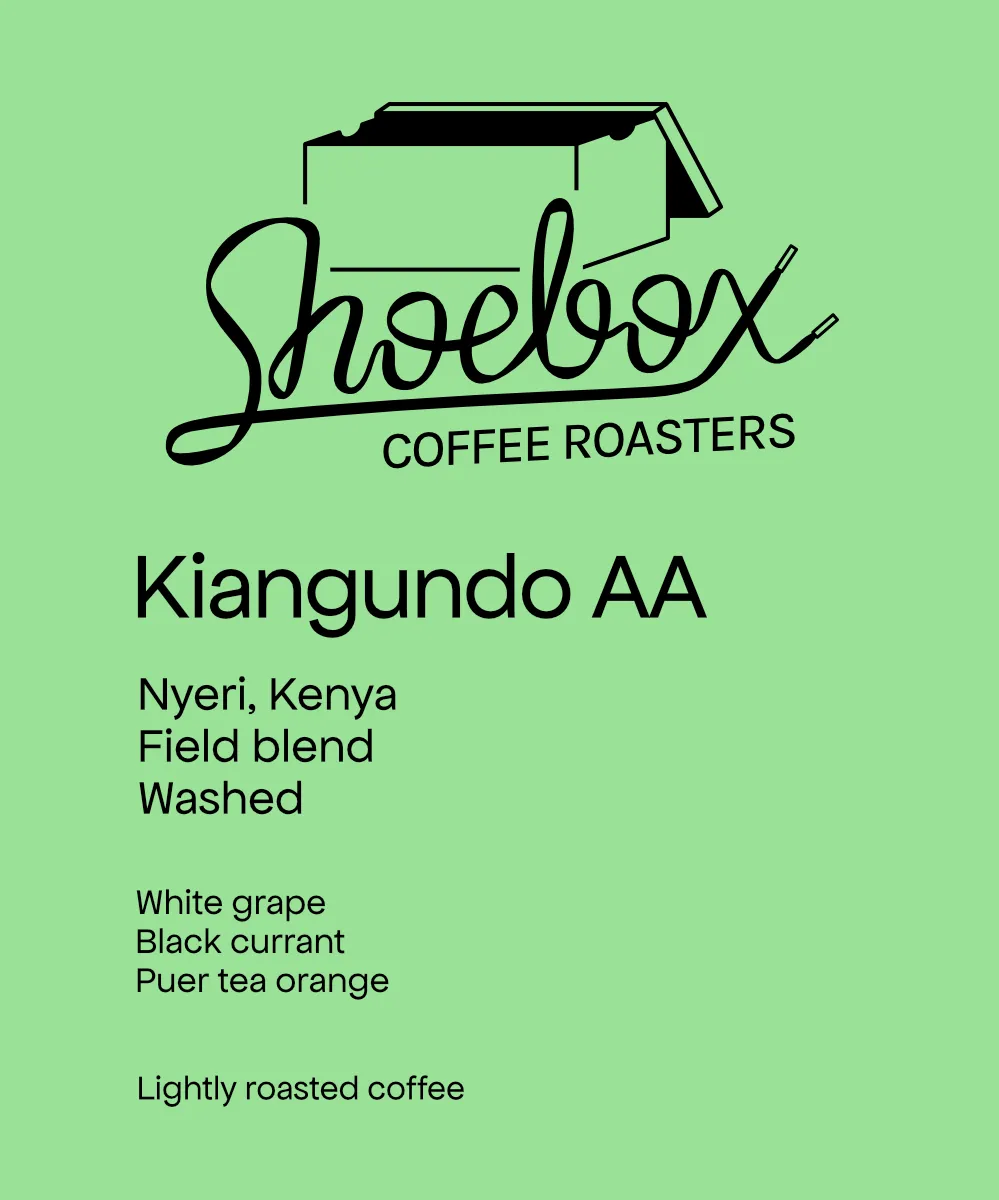 Kenya Kiangundo AA Washed