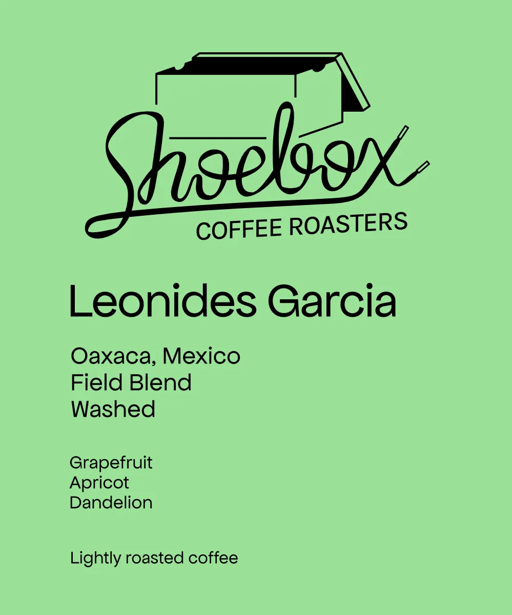 Mexico Leonides Castro Garcia Washed