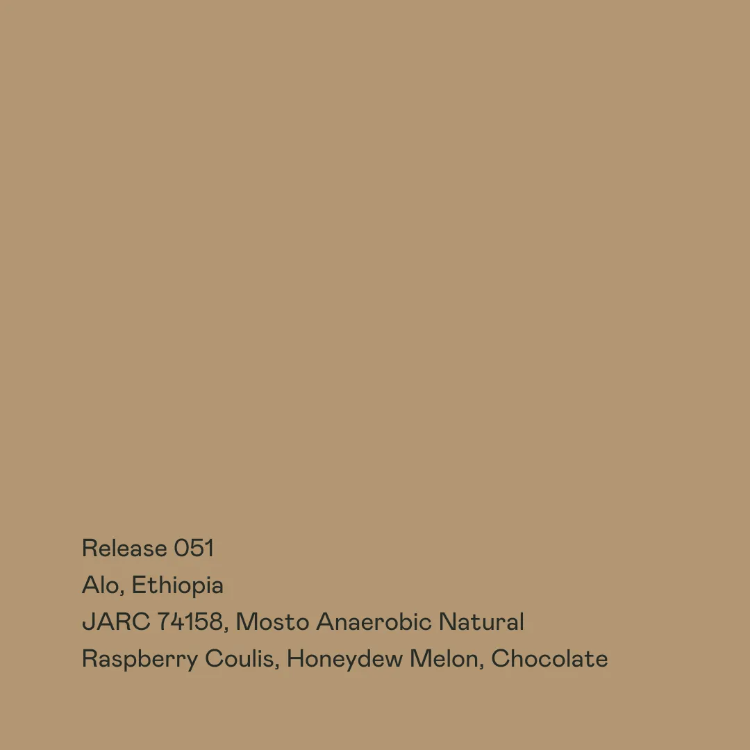 Release 051 - Alo, JARC 74158, Mosto Anaerobic Natural