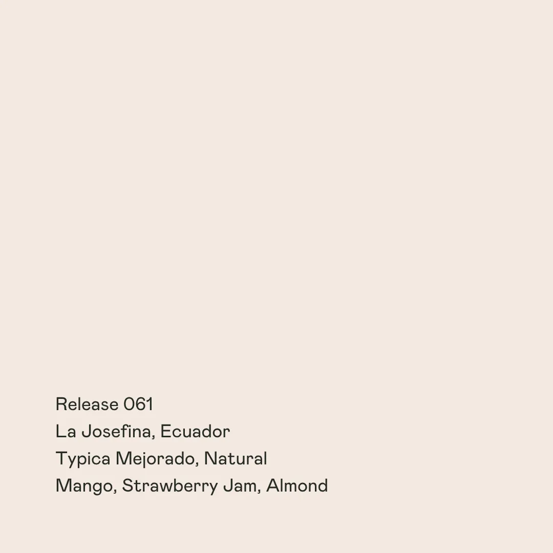 Release 061 - La Josefina, Typica Mejorado Natural