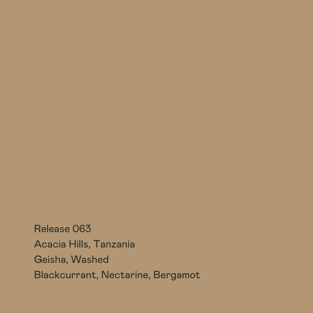 Release 063 - Acacia Hills, Gesha Washed