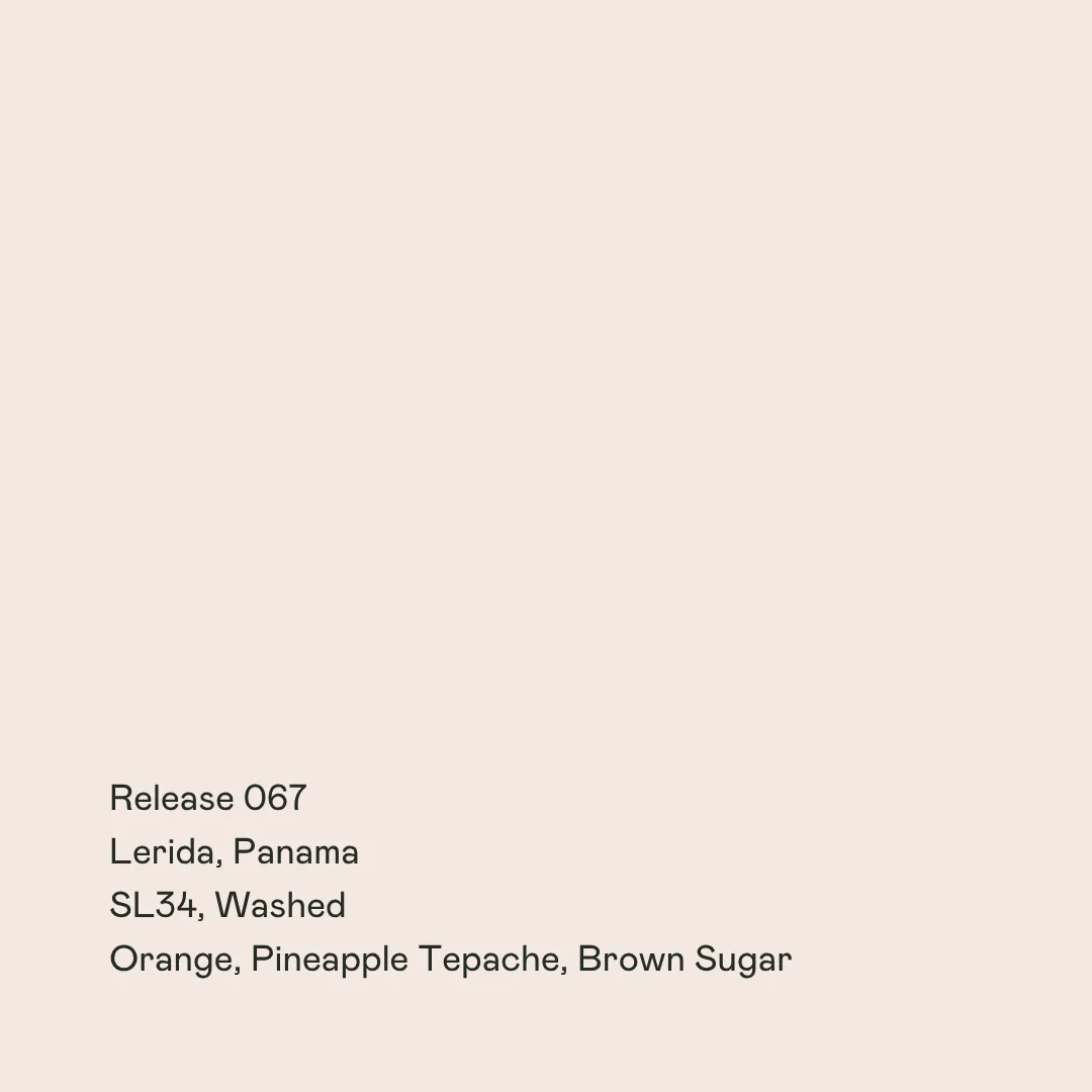 Release 067 - Lerida, Washed SL34