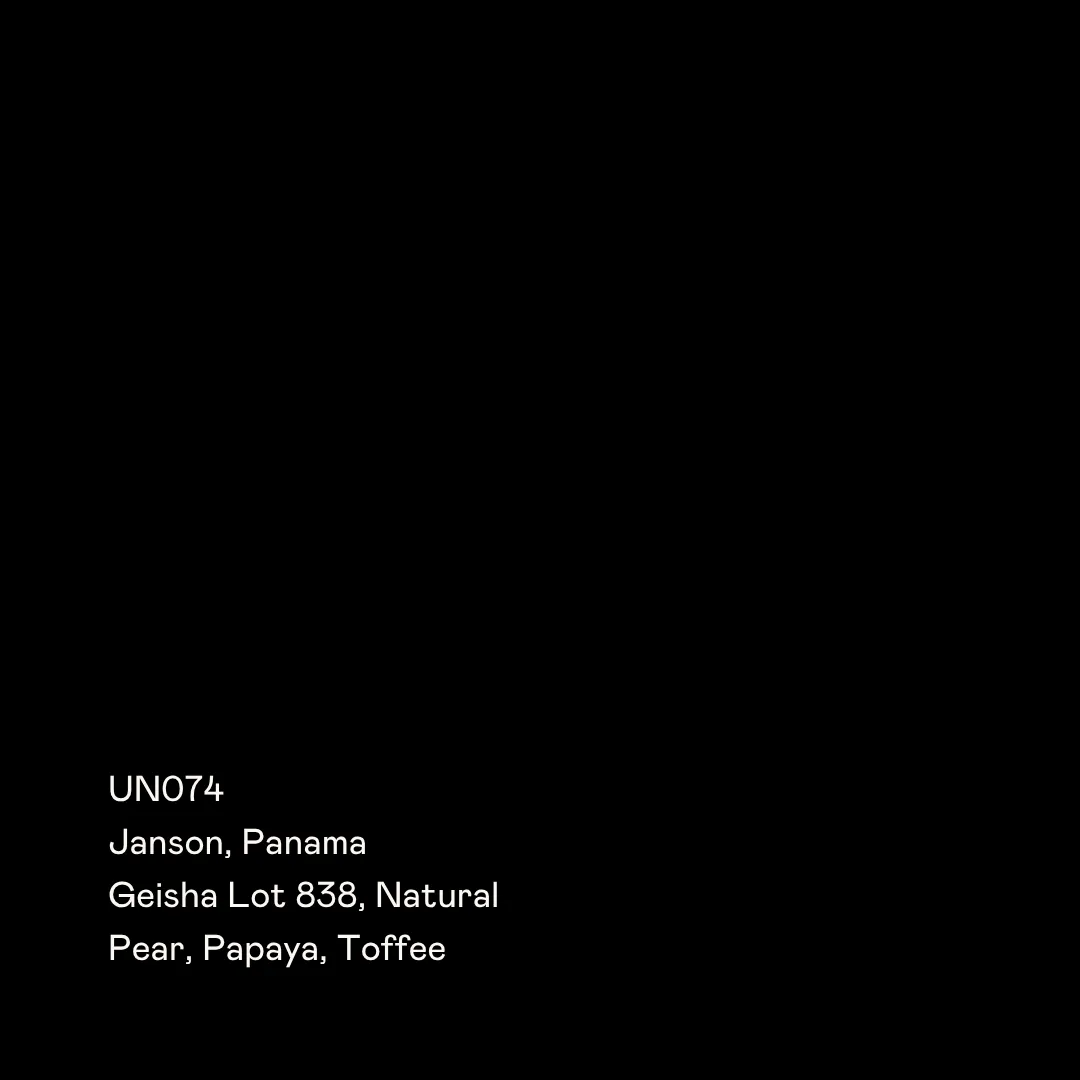 UN074 - Janson 838, Geisha Natural