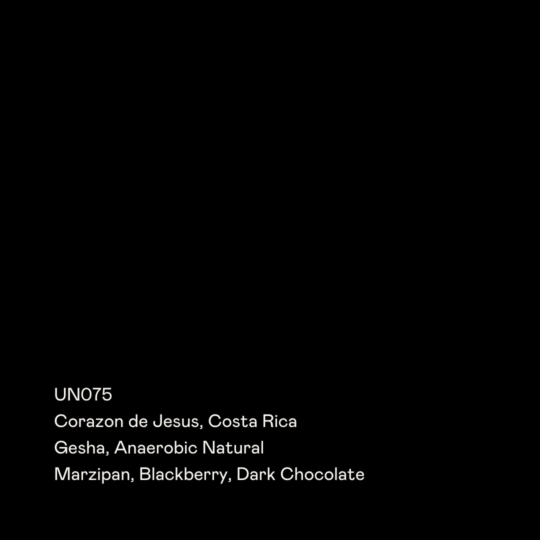 UN075 - Corazon de Jesus, Gesha Anaerobic Natural