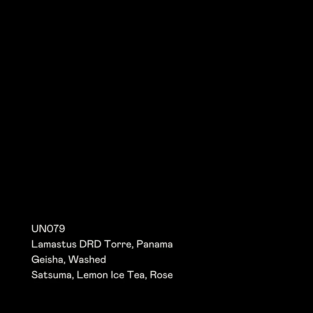 UN079 - Lamastus DRD Torre, Geisha Washed