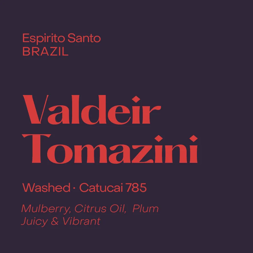 Brazil Valdeir Tomazini, Washed Catucai 785