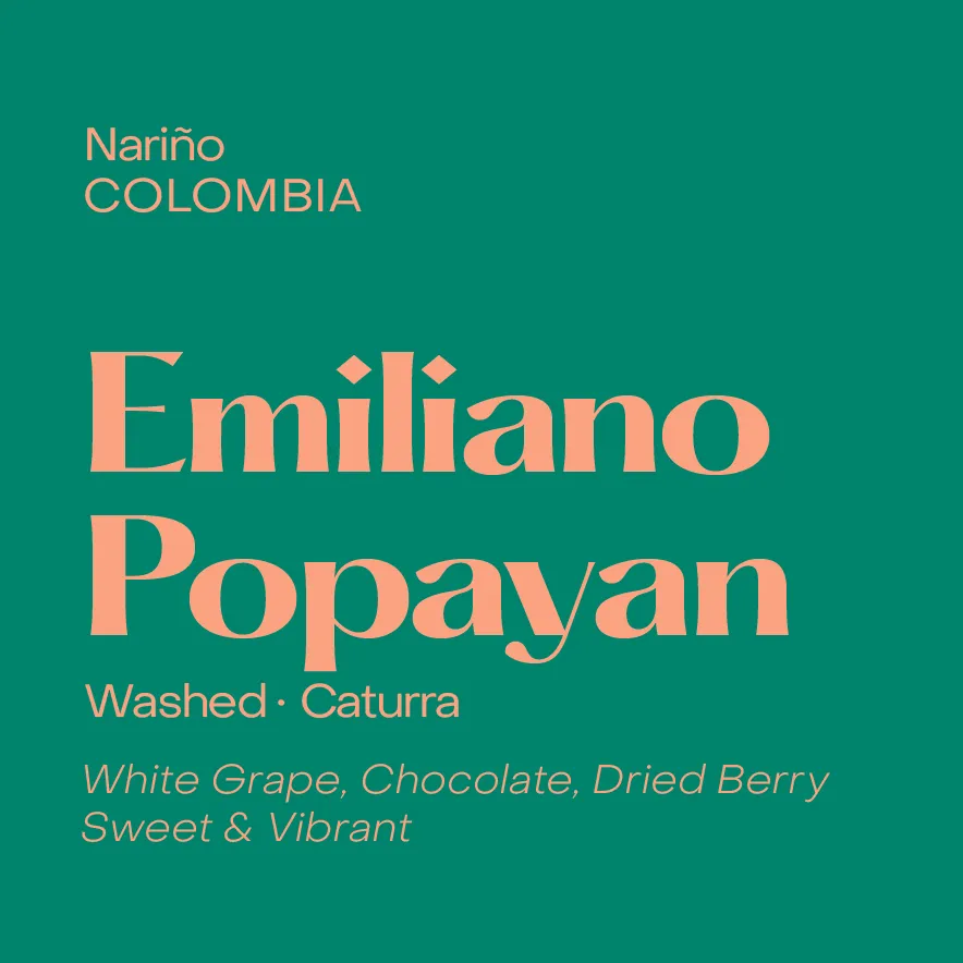 Colombia Emiliano Popayan, Washed Caturra