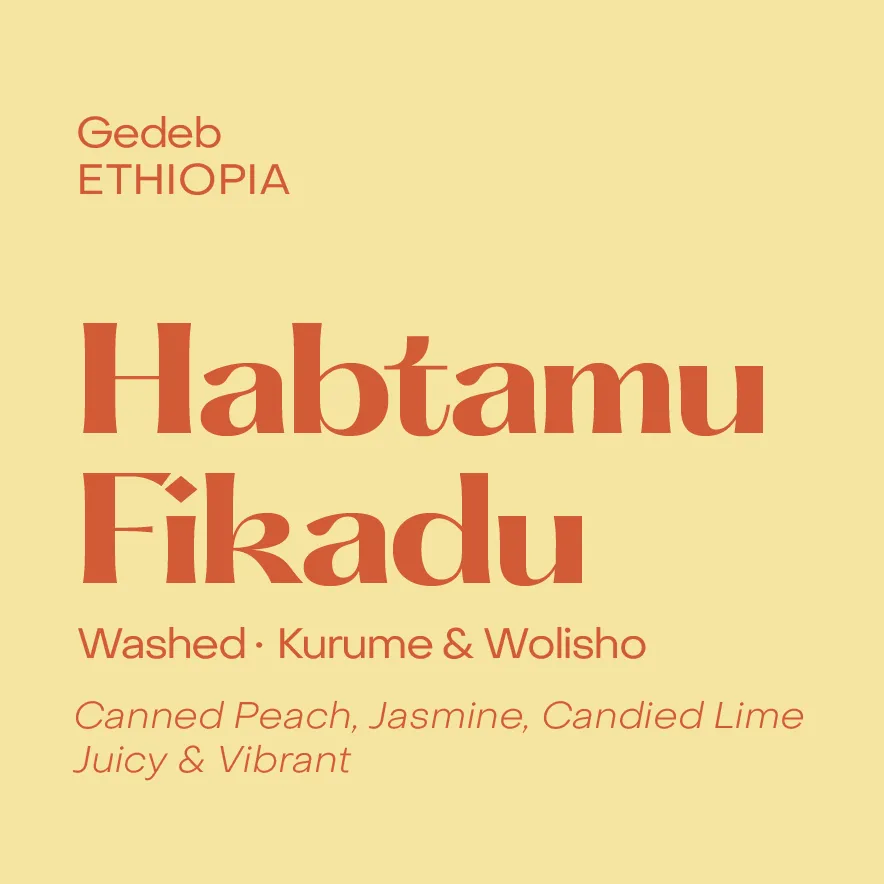 Ethiopia Habtamu Fikadu, Washed Kurume & Wolisho