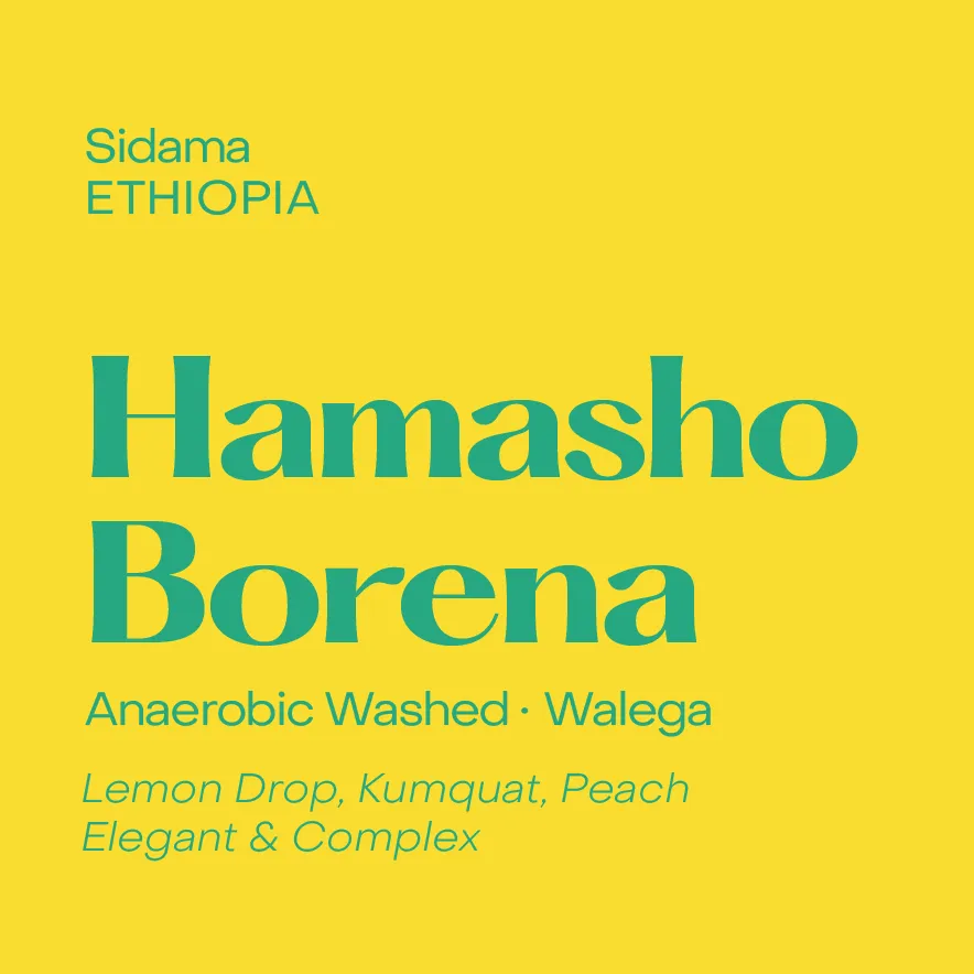 Ethiopia Hamasho Borena, Anaerobic Washed Walega