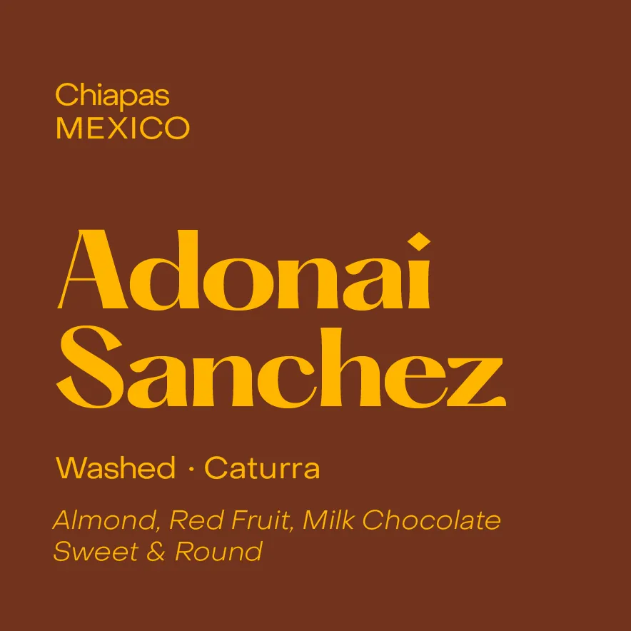 Mexico Adonai Sanchez, Washed Caturra