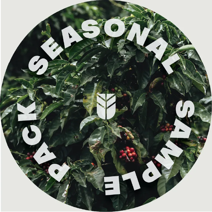 Seasonal Sample Box