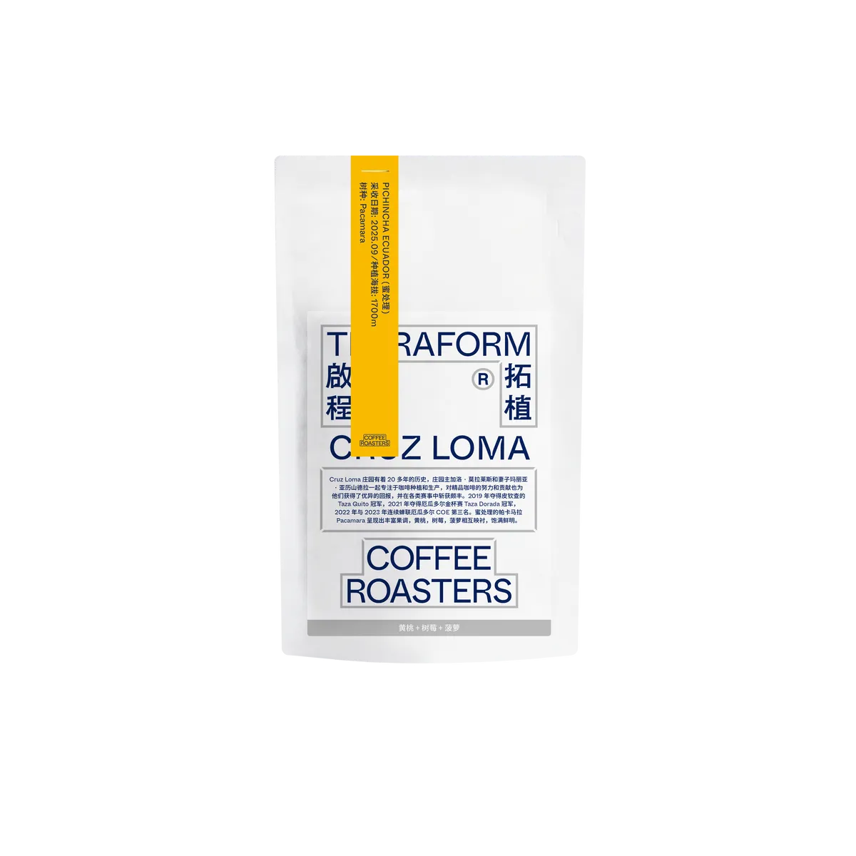 Ecuador - Cruz Loma, Pacamara