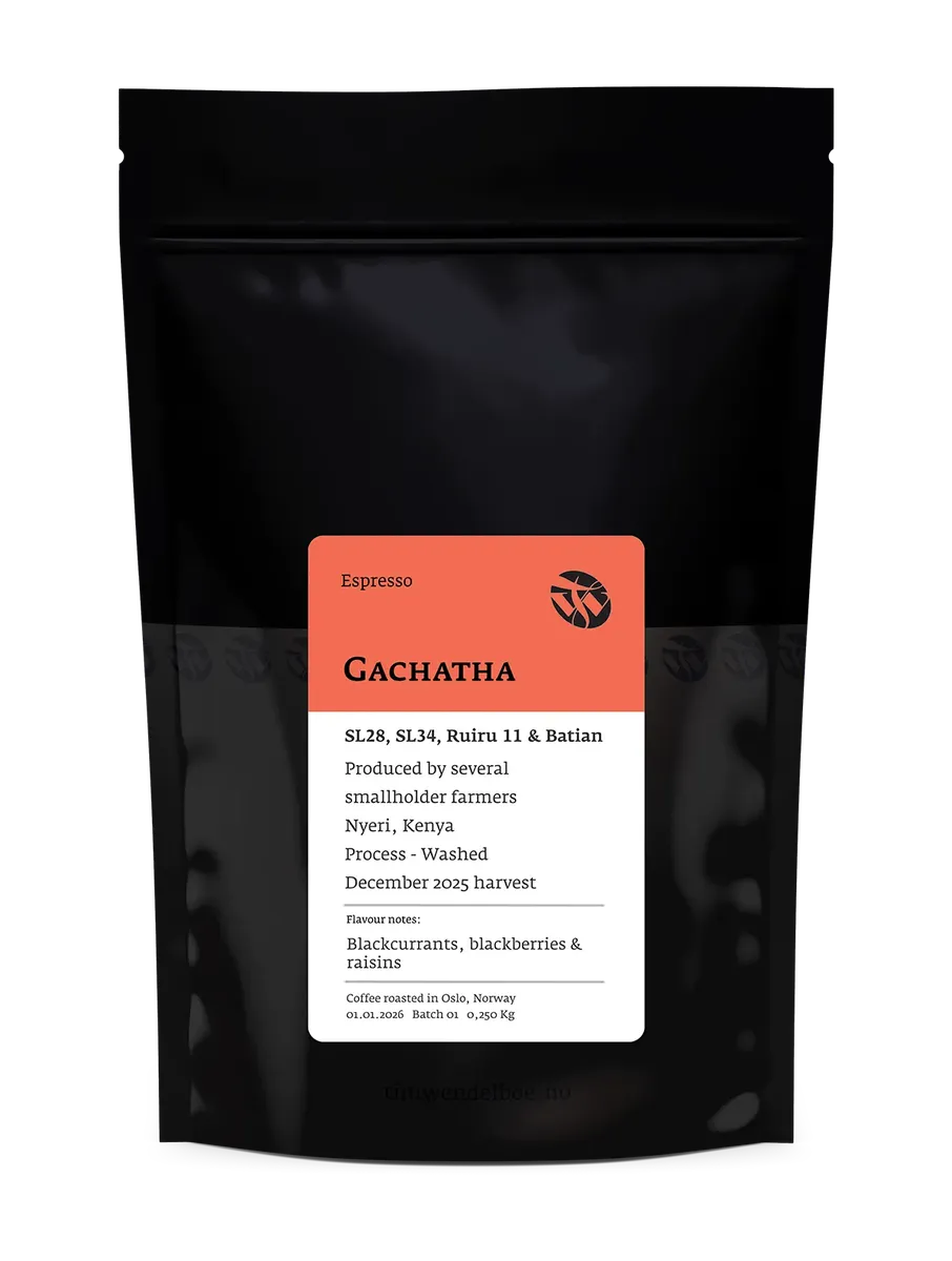 Gachatha