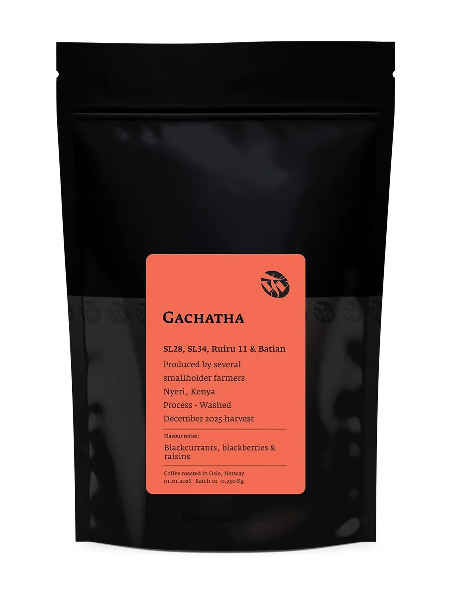 Gachatha
