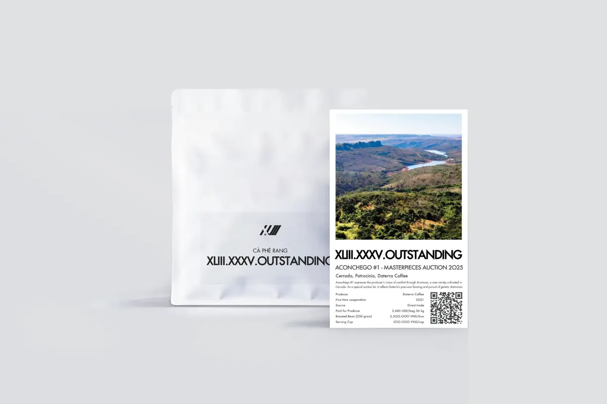 Aconchego #1 – Masterpieces Auction 2025