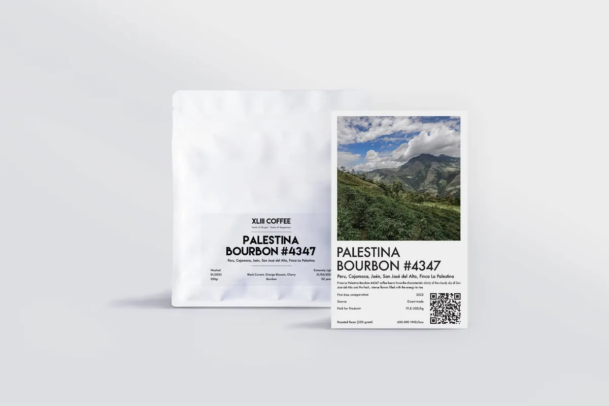 Palestina Bourbon #4347