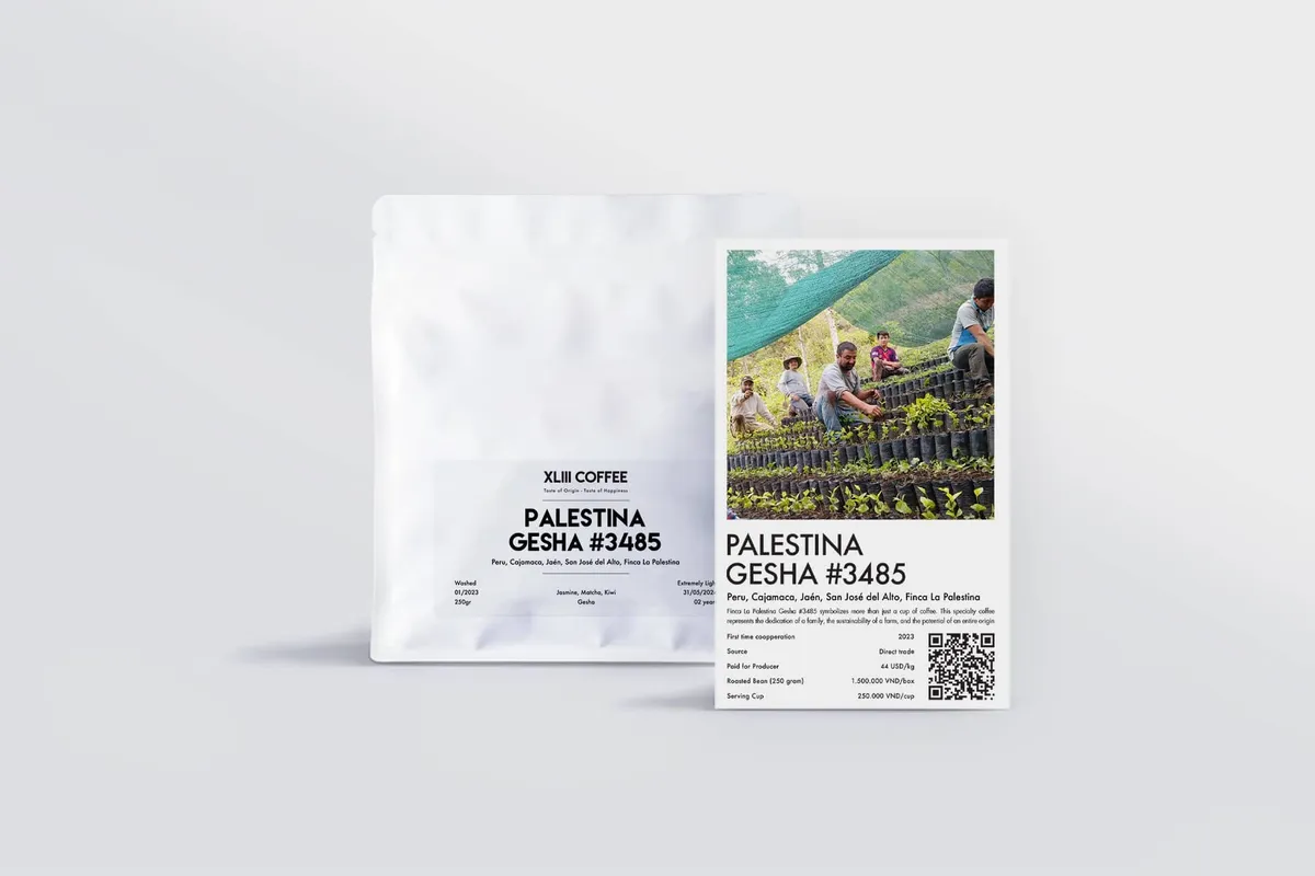Palestina Gesha #3485