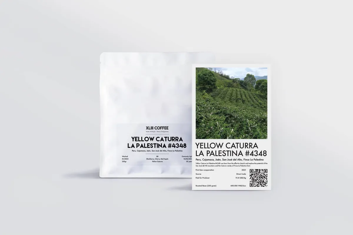Yellow Caturra La Palestina #4348
